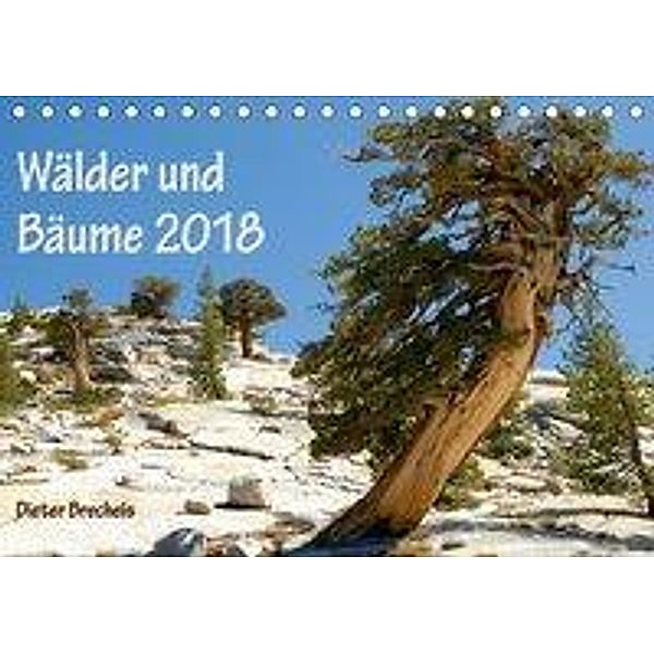Wälder und Bäume 2018 (Tischkalender 2018 DIN A5 quer), Dieter Brecheis