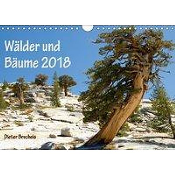 Wälder und Bäume 2018 (Wandkalender 2018 DIN A4 quer), Dieter Brecheis