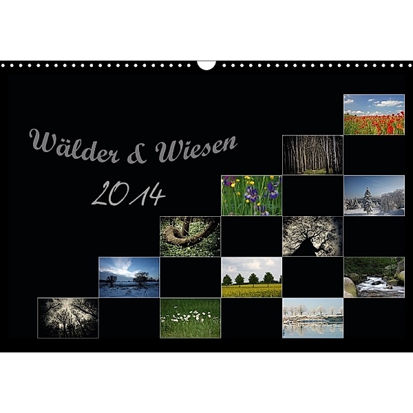 Wälder und Wiesen (Wandkalender 2014 DIN A3 quer)