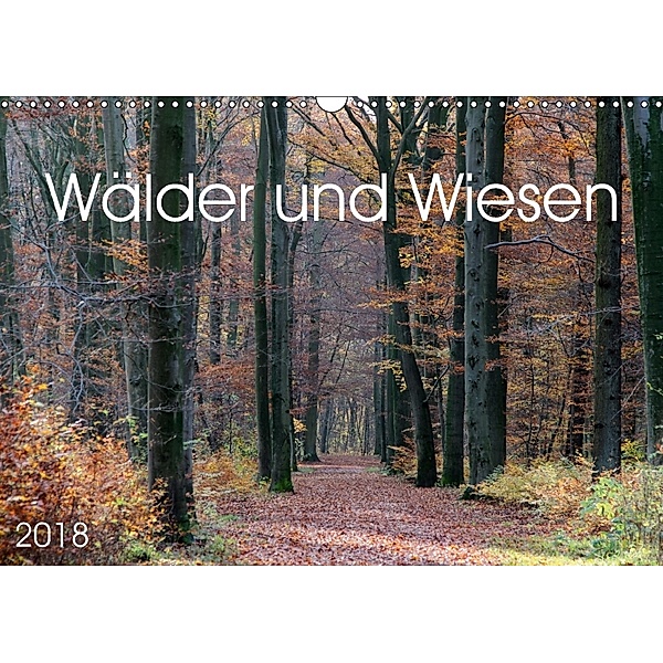 Wälder und Wiesen (Wandkalender 2018 DIN A3 quer), SchnelleWelten