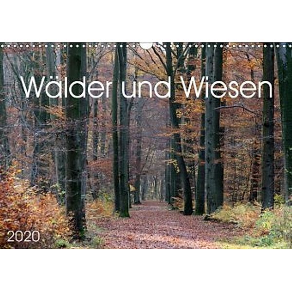 Wälder und Wiesen (Wandkalender 2020 DIN A3 quer)