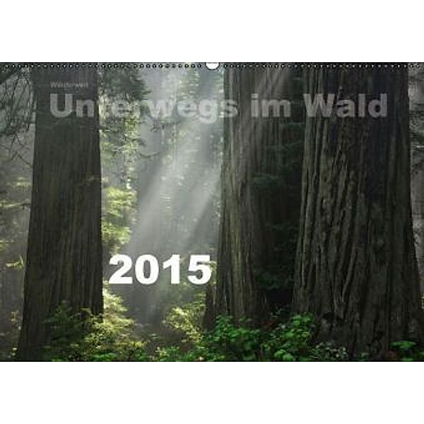 Wälderweit - Unterwegs im Wald I (Wandkalender 2015 DIN A2 quer), Christian Bauffold