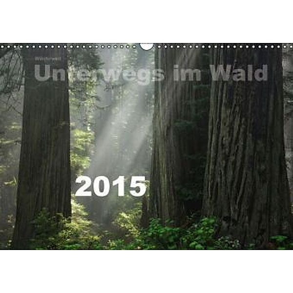 Wälderweit - Unterwegs im Wald I (Wandkalender 2015 DIN A3 quer), Christian Bauffold