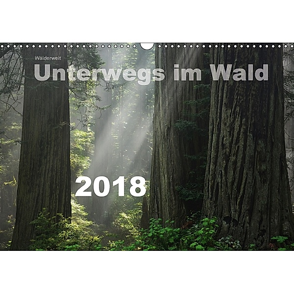 Wälderweit - Unterwegs im Wald I (Wandkalender 2018 DIN A3 quer), Christian Bauffold