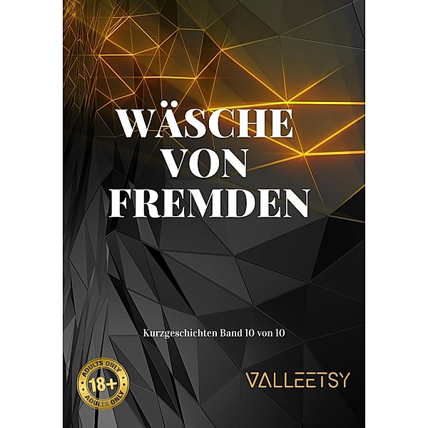 Wäsche von Fremden (10 Kurzgeschichten, #10) / 10 Kurzgeschichten, Maria Valleetsy