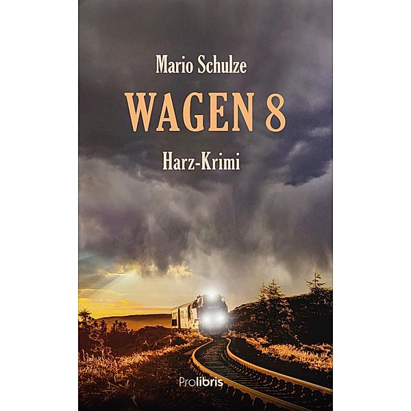 Wagen 8, Mario Schulze