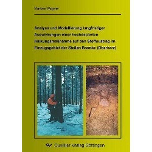 Wagner, M: Analyse und Modellierung langfristiger Auswirkung, Markus Wagner