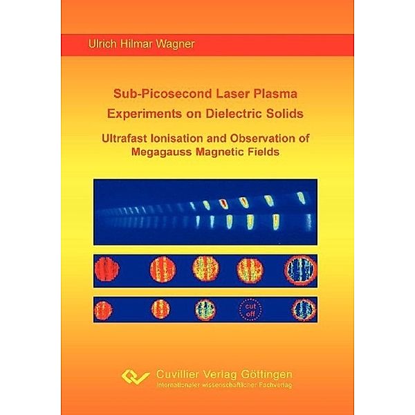 Wagner, U: Sub-Picosecond Laser Plasma Experiments on Dielec, Ulrich Hilmar Wagner