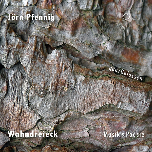 Wahndreieck - Musik & Poesie,2 Audio-CD, Jörn Pfennig