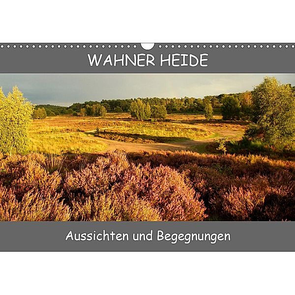 Wahner Heide - Aussichten und Begegnungen (Wandkalender 2021 DIN A3 quer), Bernd Becker