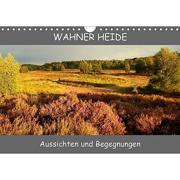 Wahner Heide - Aussichten und Begegnungen (Wandkalender 2021 DIN A4 quer), Bernd Becker