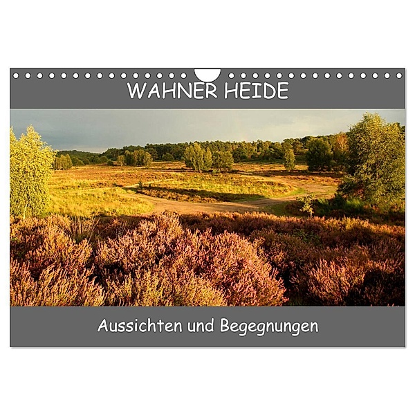 Wahner Heide - Aussichten und Begegnungen (Wandkalender 2024 DIN A4 quer), CALVENDO Monatskalender, Bernd Becker
