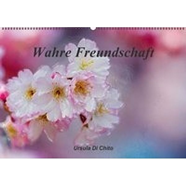 Wahre Freundschaft / AT-Version (Wandkalender 2016 DIN A2 quer), Ursula Di Chito