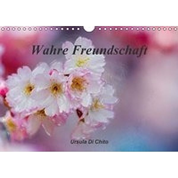 Wahre Freundschaft / AT-Version (Wandkalender 2016 DIN A4 quer), Ursula Di Chito