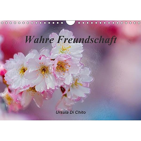 Wahre Freundschaft (Wandkalender 2017 DIN A4 quer), Ursula Di Chito