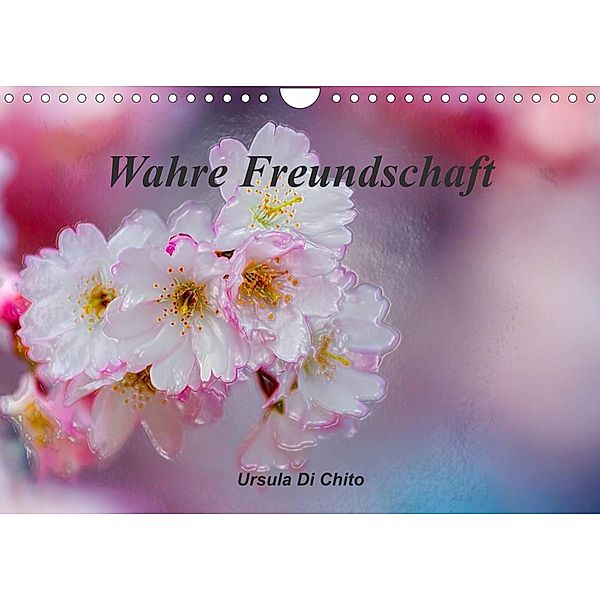 Wahre Freundschaft (Wandkalender 2023 DIN A4 quer), Ursula Di Chito