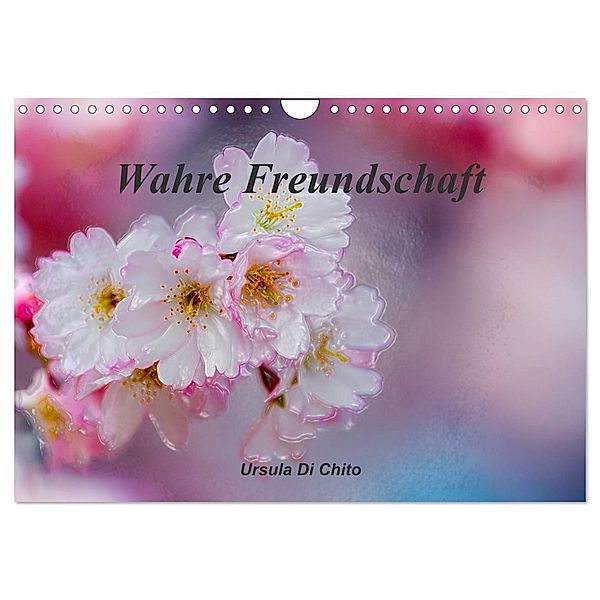 Wahre Freundschaft (Wandkalender 2025 DIN A4 quer), CALVENDO Monatskalender, Calvendo, Ursula Di Chito