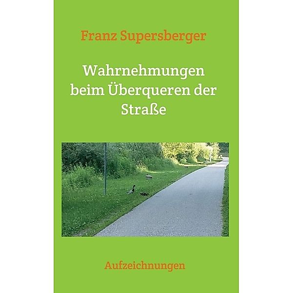 Wahrnehmungen beim Überqueren der Strasse, Franz Supersberger