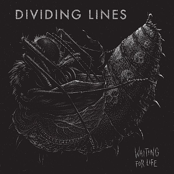 Waiting For Life, Dividing Lines