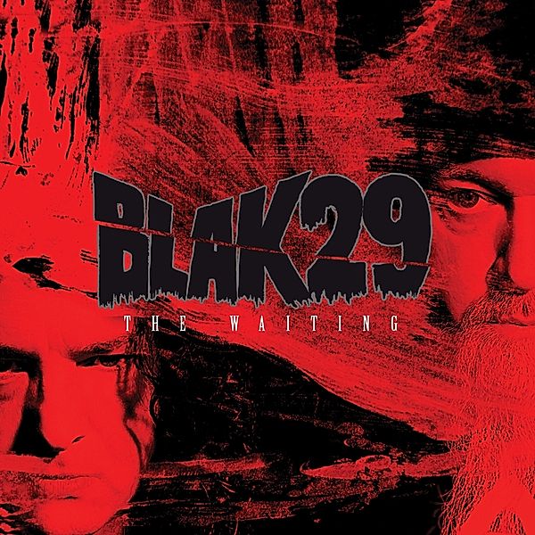 Waiting (Vinyl), Blak29