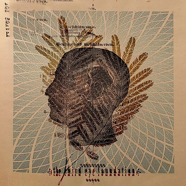 Wake The Dead (Vinyl), The Third Eye Foundation