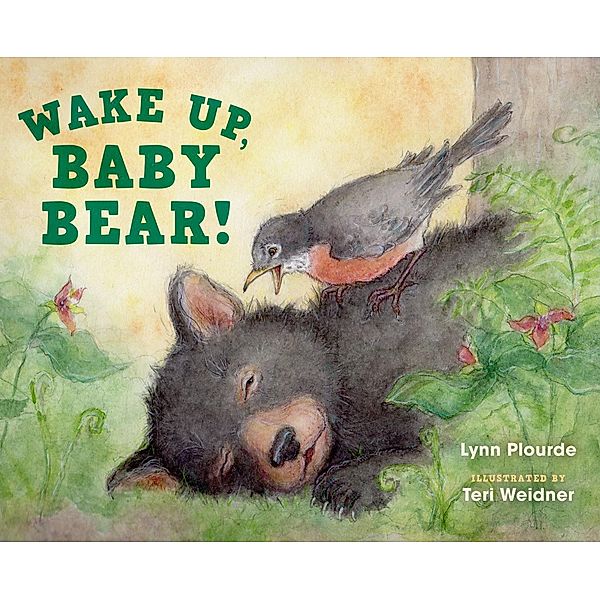 Wake Up, Baby Bear!, Lynn Plourde