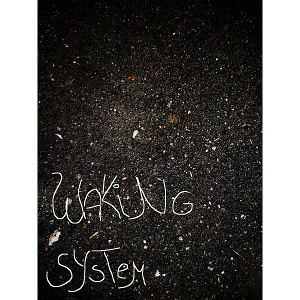 Waking System, Null KreaRe