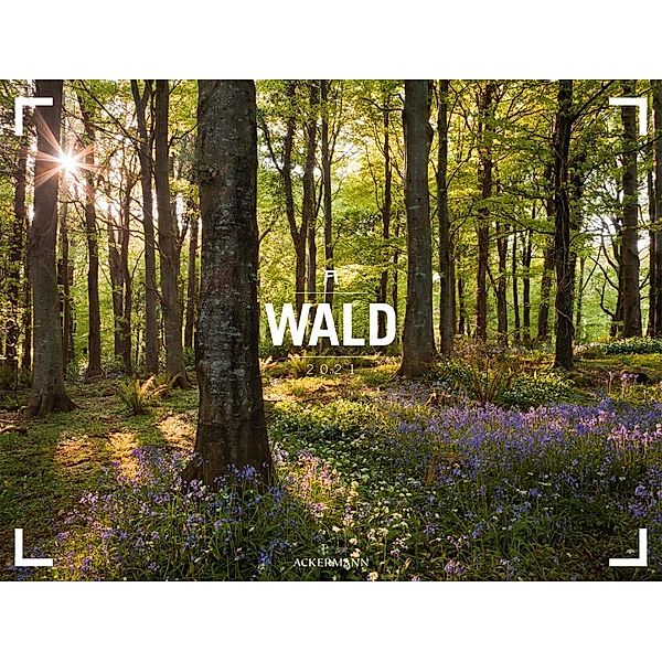 Wald 2021