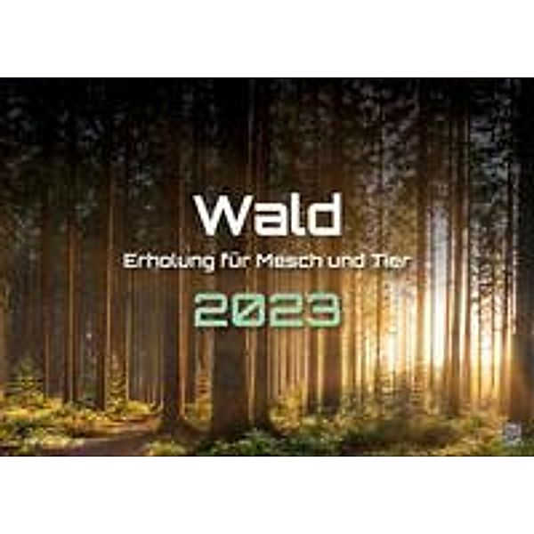 Wald - Erholung für Mensch und Tier - 2023 - Kalender DIN A2