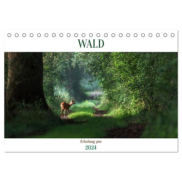 WALD Erholung pur (Tischkalender 2024 DIN A5 quer), CALVENDO Monatskalender, Susan Michel