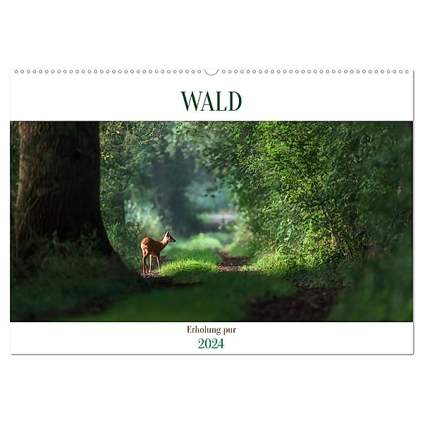 WALD Erholung pur (Wandkalender 2024 DIN A2 quer), CALVENDO Monatskalender, Susan Michel