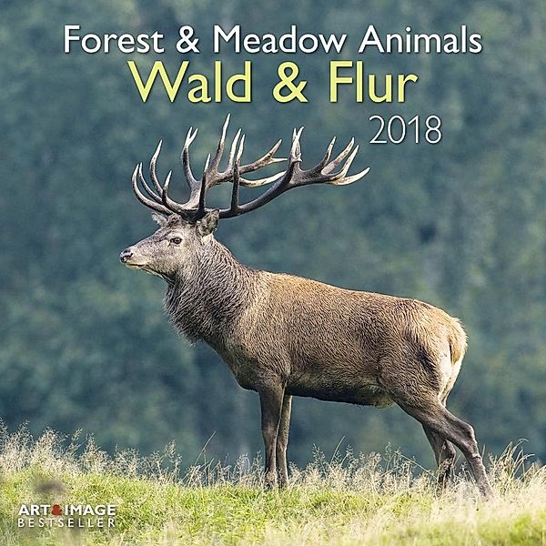 Wald & Flur 2018