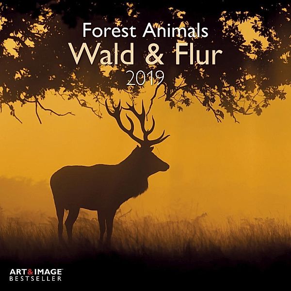 Wald & Flur 2019