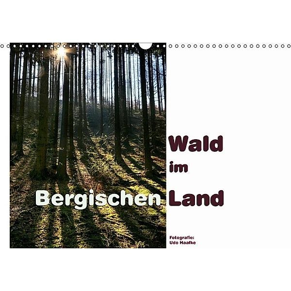 Wald im Bergischen Land 2017 (Wandkalender 2017 DIN A3 quer), Udo Haafke