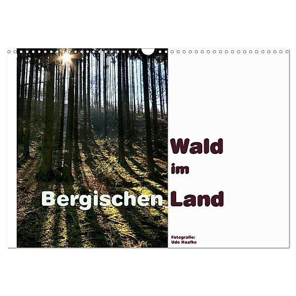 Wald im Bergischen Land 2024 (Wandkalender 2024 DIN A3 quer), CALVENDO Monatskalender, Udo Haafke