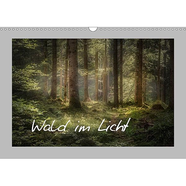 Wald im Licht (Wandkalender 2020 DIN A3 quer), Simone Wunderlich