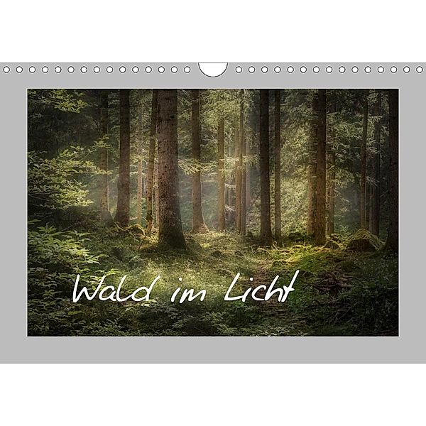 Wald im Licht (Wandkalender 2020 DIN A4 quer), Simone Wunderlich