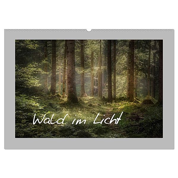 Wald im Licht (Wandkalender 2024 DIN A2 quer), CALVENDO Monatskalender, Simone Wunderlich