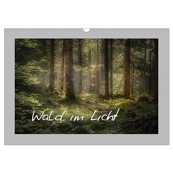 Wald im Licht (Wandkalender 2024 DIN A3 quer), CALVENDO Monatskalender, Simone Wunderlich