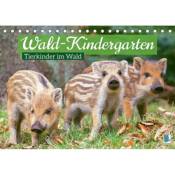 Wald-Kindergarten: Tierkinder im Wald (Tischkalender 2023 DIN A5 quer), Calvendo