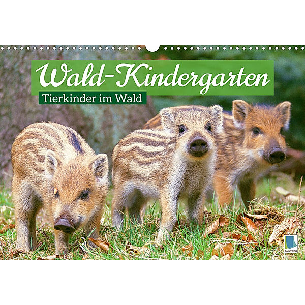 Wald-Kindergarten: Tierkinder im Wald (Wandkalender 2023 DIN A3 quer), Calvendo