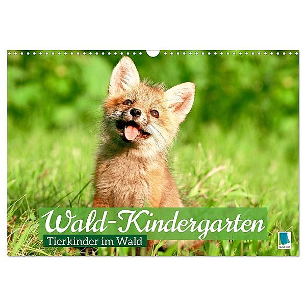 Wald-Kindergarten: Tierkinder im Wald (Wandkalender 2024 DIN A3 quer), CALVENDO Monatskalender, Calvendo