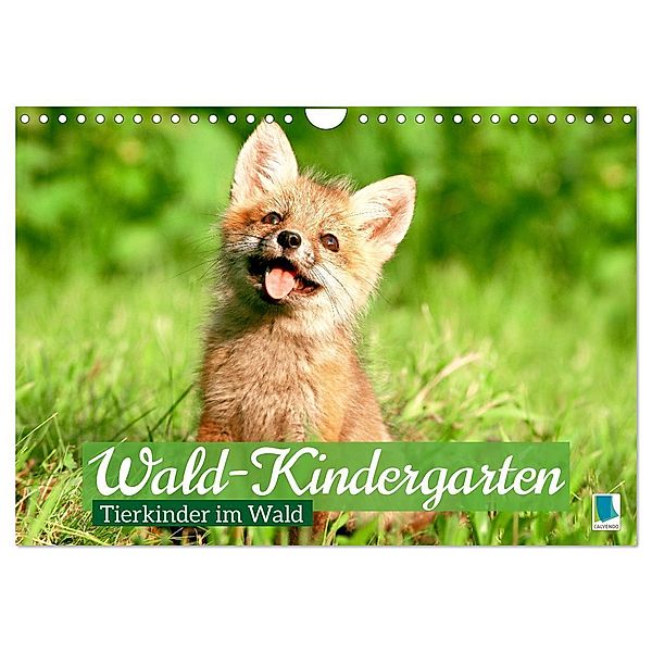 Wald-Kindergarten: Tierkinder im Wald (Wandkalender 2024 DIN A4 quer), CALVENDO Monatskalender, Calvendo