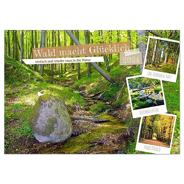 Wald macht glücklich (Wandkalender 2024 DIN A2 quer), CALVENDO Monatskalender, Werner Prescher