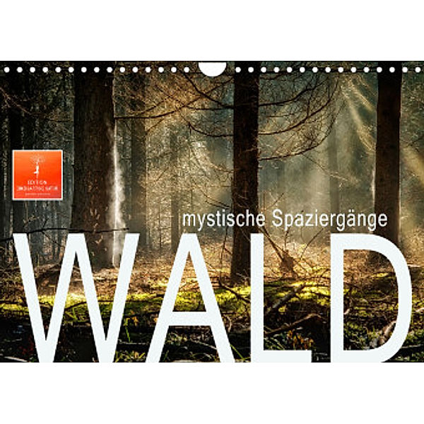 Wald - mystische Spaziergänge (Wandkalender 2022 DIN A4 quer), Peter Roder