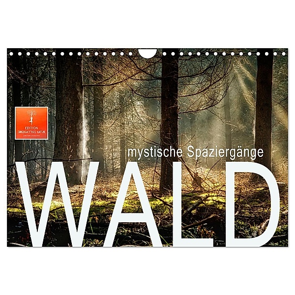 Wald - mystische Spaziergänge (Wandkalender 2024 DIN A4 quer), CALVENDO Monatskalender, Peter Roder