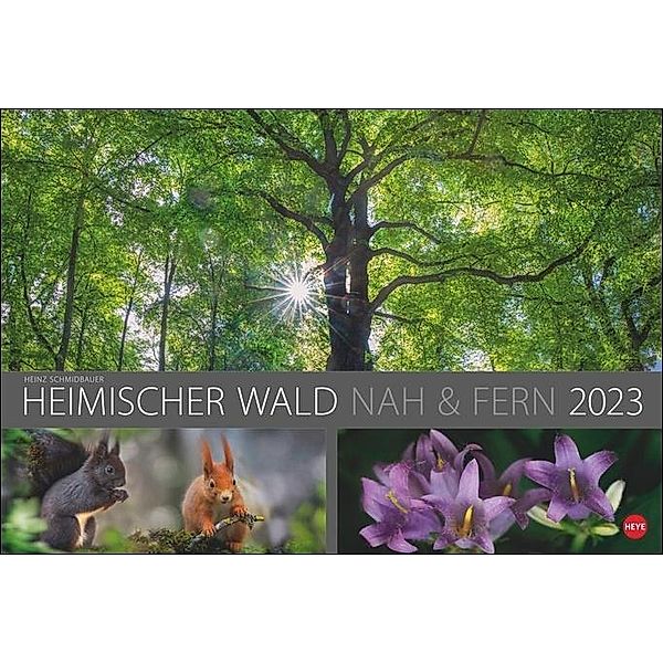 Wald nah und fern Edition Kalender 2023. Der Wald von seiner schönsten Seite in einem XXL Wandkalender. Kalender Großfor, Heinz Schmidbauer