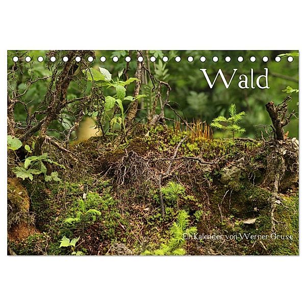 Wald (Tischkalender 2024 DIN A5 quer), CALVENDO Monatskalender, Werner Gruse