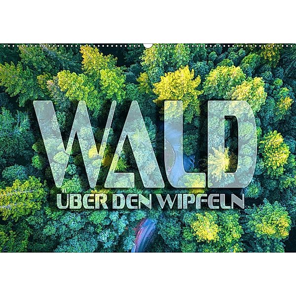 Wald - über den Wipfeln (Wandkalender 2020 DIN A2 quer), Renate Bleicher