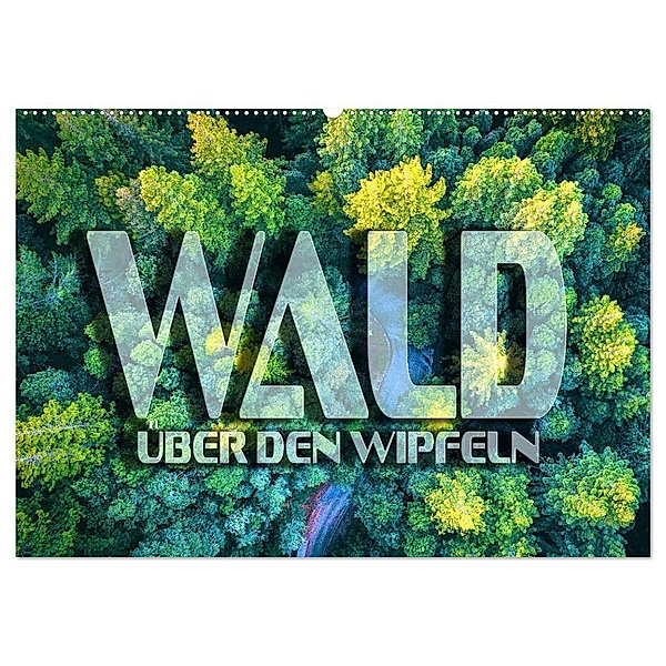 Wald - über den Wipfeln (Wandkalender 2024 DIN A2 quer), CALVENDO Monatskalender, Renate Bleicher